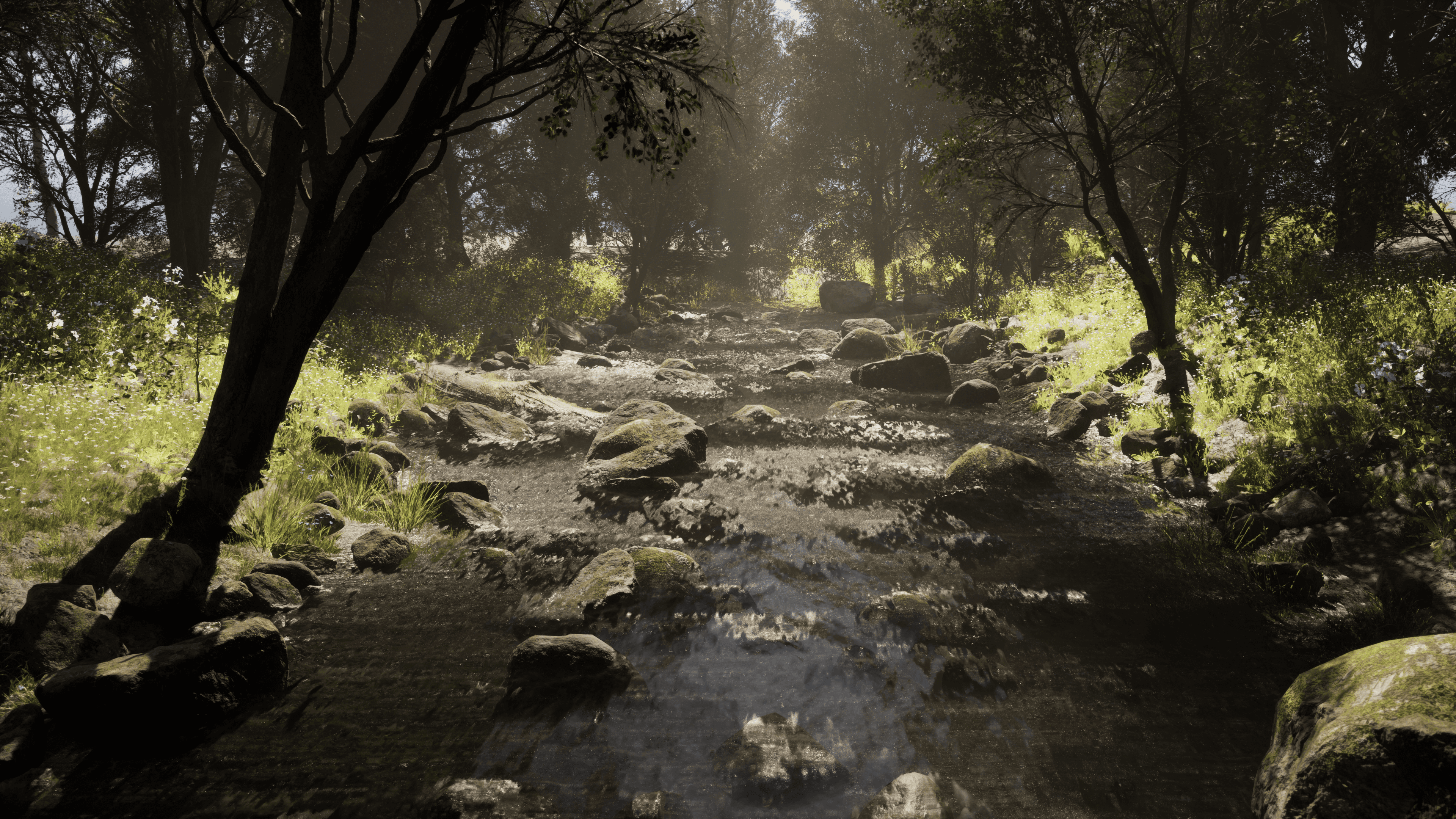 Enchanted Forest — daytime scene