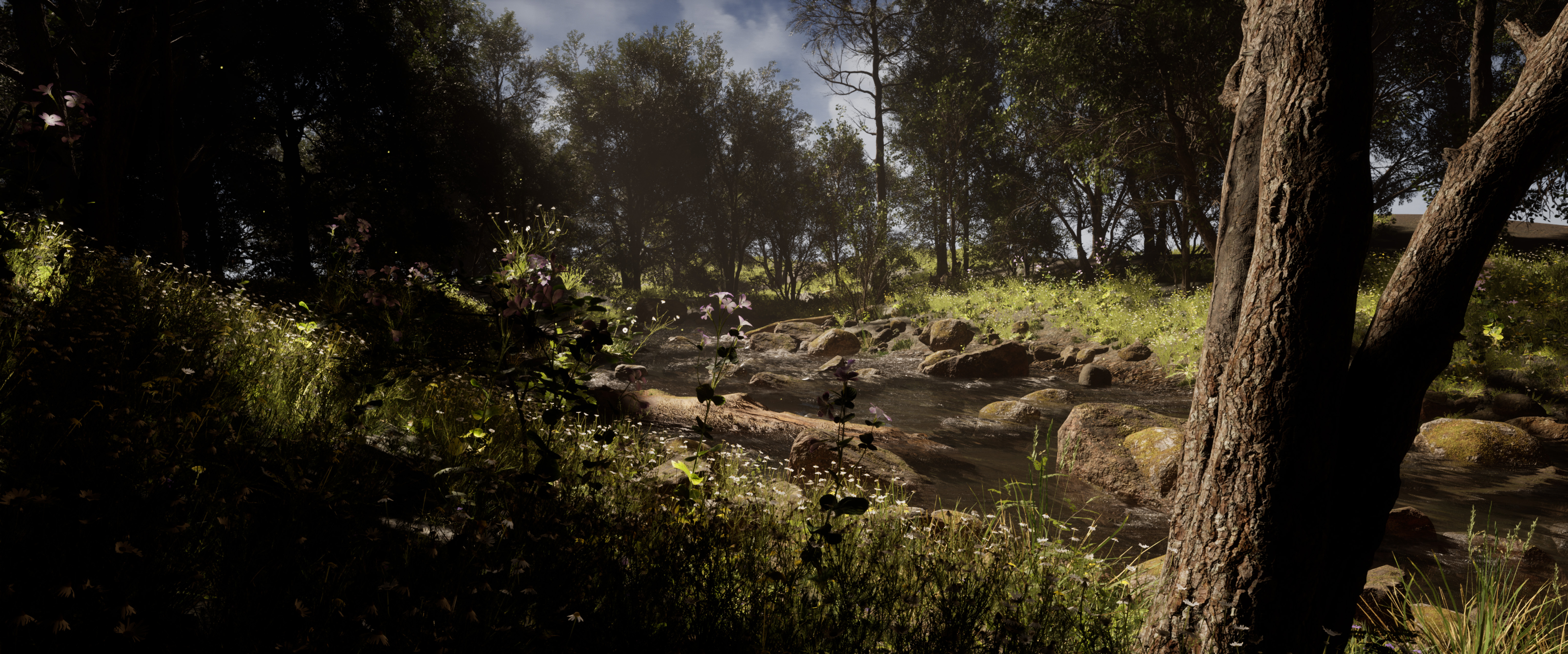 Enchanted Forest — daytime alternate angle