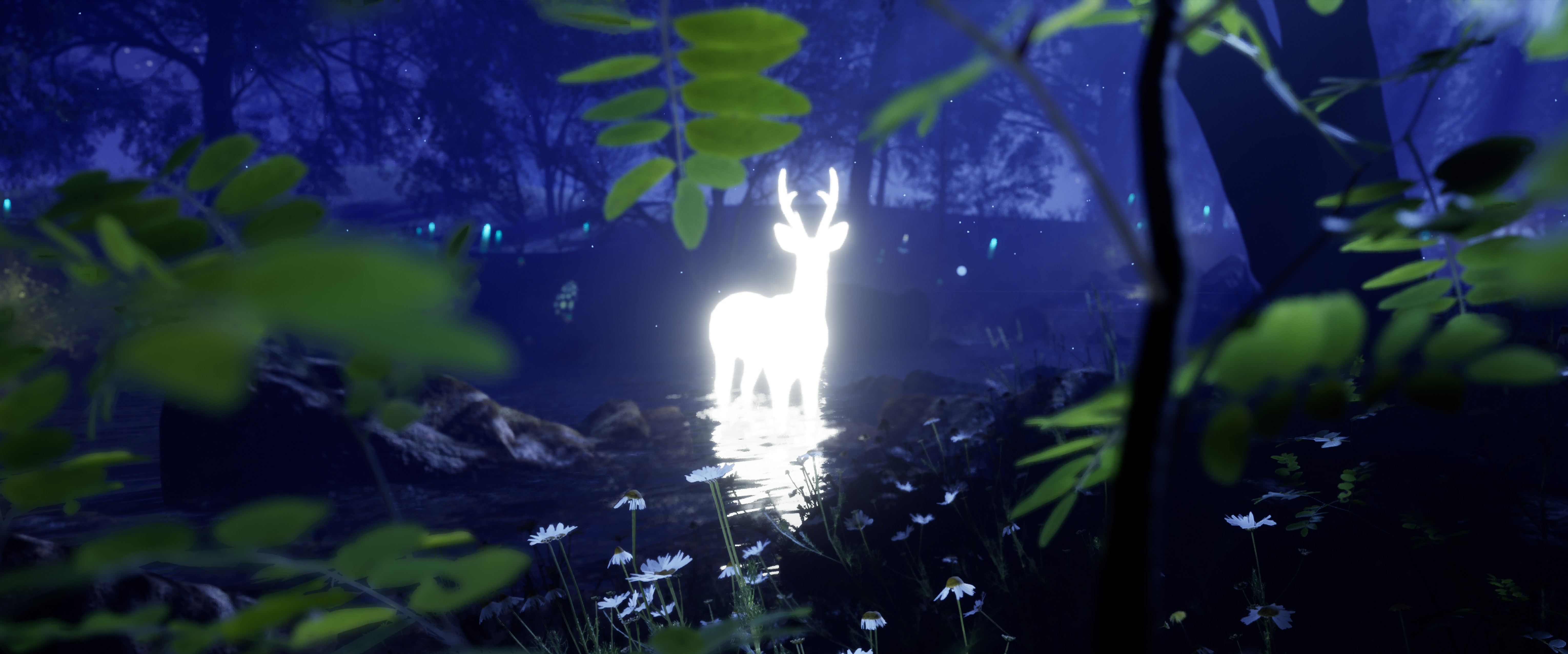 Enchanted Forest Night