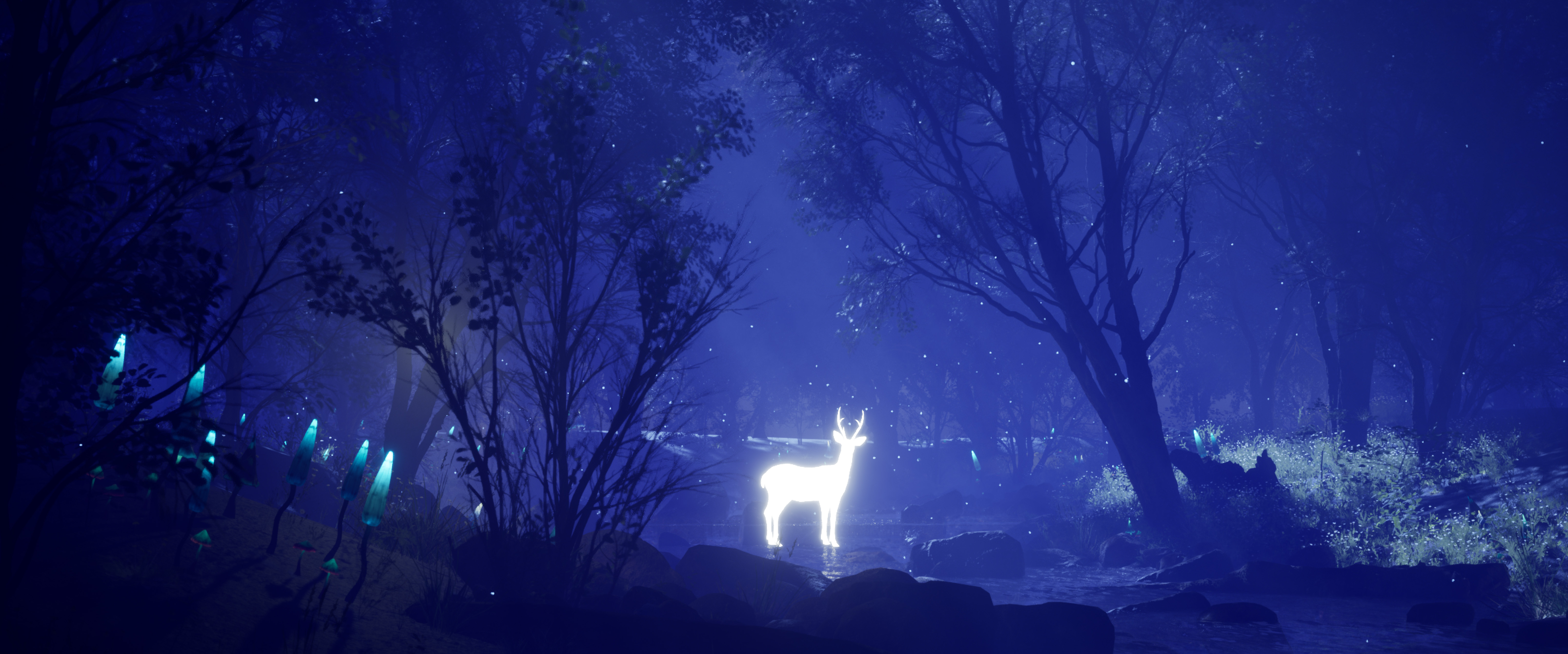 Enchanted Forest — night scene angle 2